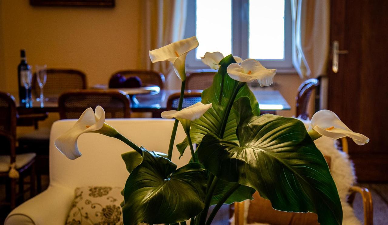 Il Palagetto B&B Firenze Kültér fotó